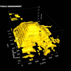 GPR survey on masonry vault